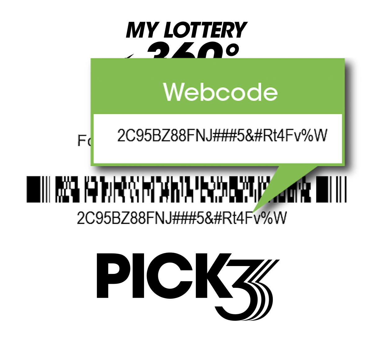 Draw Ticket example with entry information highlighted.